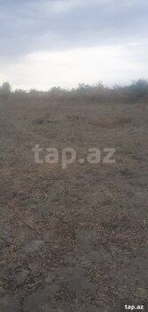1200 sot torpaq sahəsi, Sabirabad r.