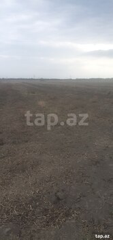 1200 sot torpaq sahəsi, Sabirabad r.
