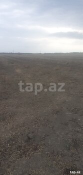 1200 sot torpaq sahəsi, Sabirabad r.