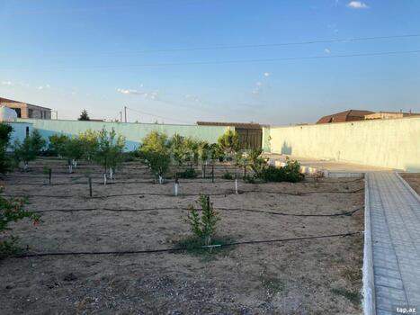 Bağ evi kirayə verilir, Qala qəs.