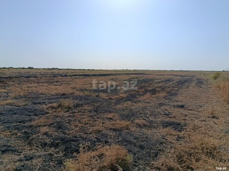 2700 sot torpaq sahəsi, Sabirabad r.