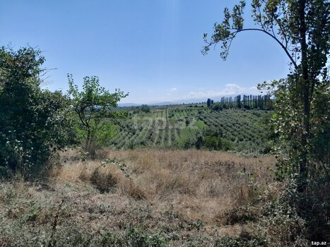 Həyət evi, Quba ş.