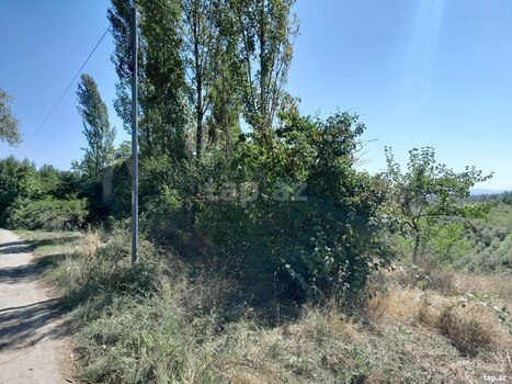 Həyət evi, Quba ş.