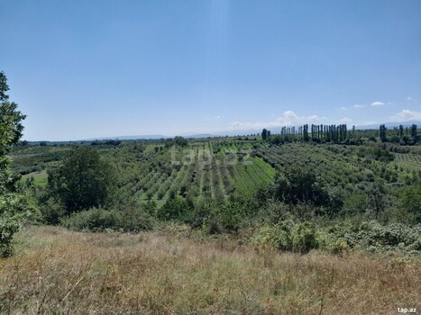 Həyət evi, Quba ş.