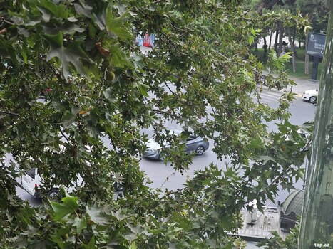 2-otaqlı mənzil, D.Əliyeva küç., 70 m²