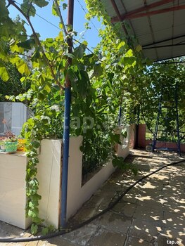 Bağ evi kirayə verilir, Türkan qəs.