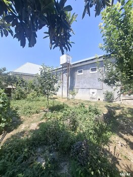 Həyət evi, Şəki ş.