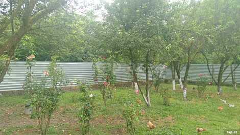 Həyət evi, Oğuz r.