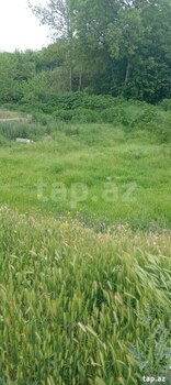 8 sot torpaq sahəsi, Qazax r.