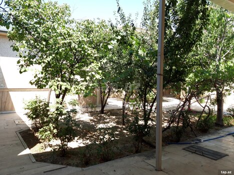 Villa, Naxçıvan ş.