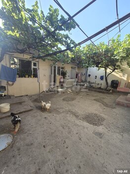 Həyət evi, Gəncə ş.