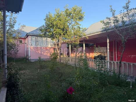 Bağ evi kirayə verilir, Qəbələ ş.