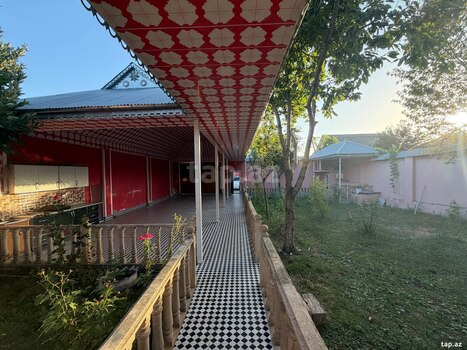 Bağ evi kirayə verilir, Qəbələ ş.