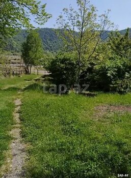280 sot torpaq sahəsi, Balakən r.