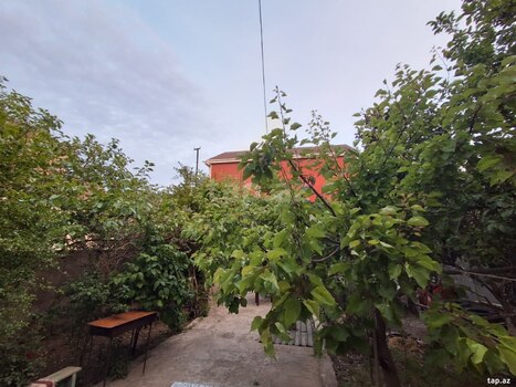 Həyət evi, Novxanı qəs.