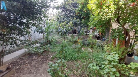 Həyət evi kirayə verilir, Badamdar qəs.