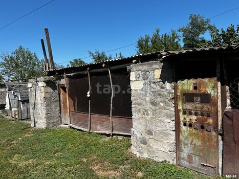 Bağ evi, Oğuz r.