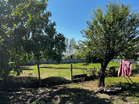 Bağ evi, Oğuz r.