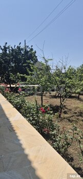 Həyət evi kirayə verilir, İsmayıllı r.