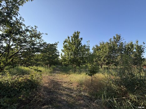 Bağ evi, Xaçmaz r.