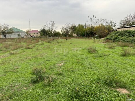 50 sot torpaq sahəsi, Ağcabədi r.