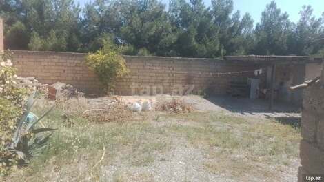 Həyət evi, Sabunçu ray.