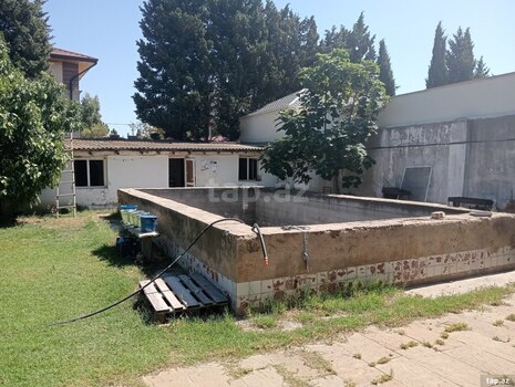 Bağ evi, Novxanı qəs.