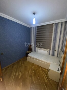 Həyət evi kirayə verilir, Saray qəs.
