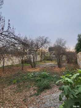 Həyət evi, Bərdə ş.