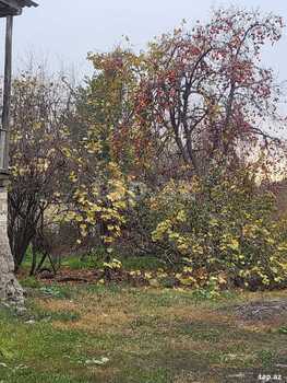 Həyət evi, Bərdə ş.