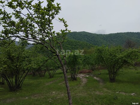 120 sot torpaq sahəsi, Oğuz r.