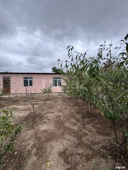 Bağ evi, Albalılıq qəs.