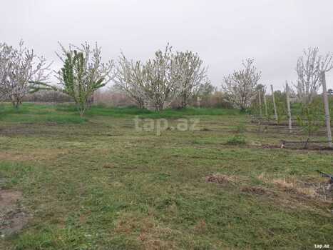 220 sot torpaq sahəsi, Xaçmaz r.