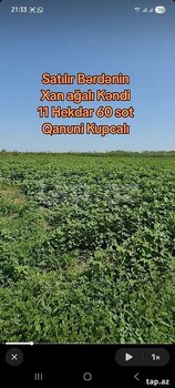 8.15 sot torpaq sahəsi, Bərdə r.