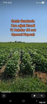 8.15 sot torpaq sahəsi, Bərdə r.