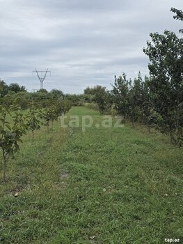 105 sot torpaq sahəsi, Ağdaş r.