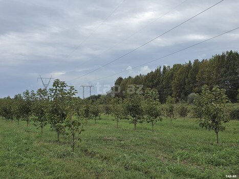 105 sot torpaq sahəsi, Ağdaş r.