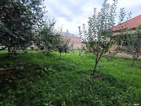 Həyət evi, Quba r.