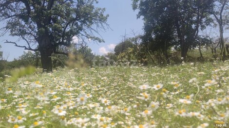 Həyət evi, Göygöl r.
