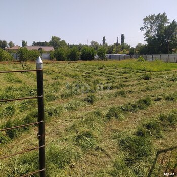 Həyət evi, Balakən r.