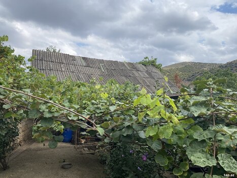 Həyət evi, Göygöl r.