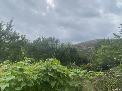 Həyət evi, Göygöl r.