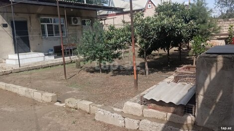 Həyət evi, Sumqayıt ş.