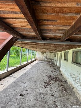 Həyət evi, Oğuz r.