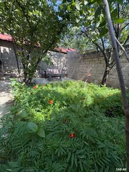 Həyət evi kirayə verilir, Quba r.