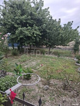 Həyət evi, Şəki ş.