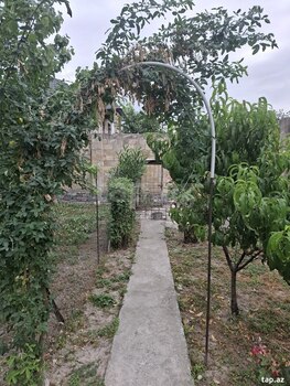 Həyət evi, Şəki ş.