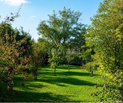 Həyət evi, Şəki ş.