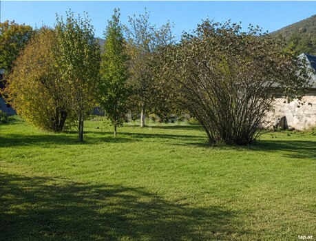 Həyət evi, Şəki ş.