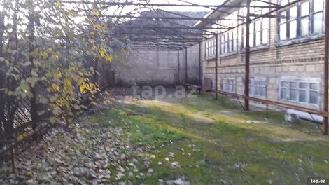 Həyət evi, Cəlilabad r.
